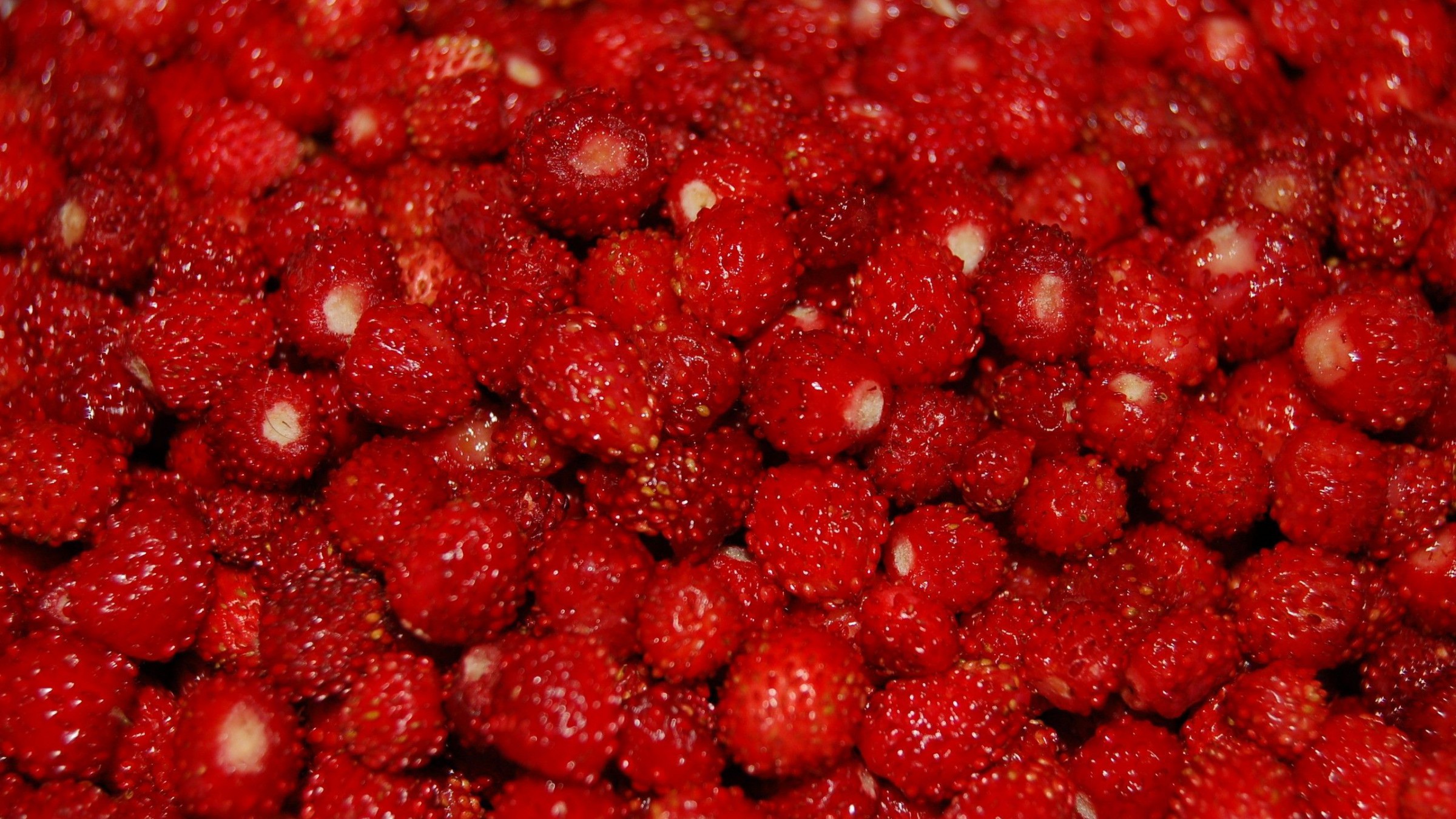 5 Recipes For The New Kitchen Lovers