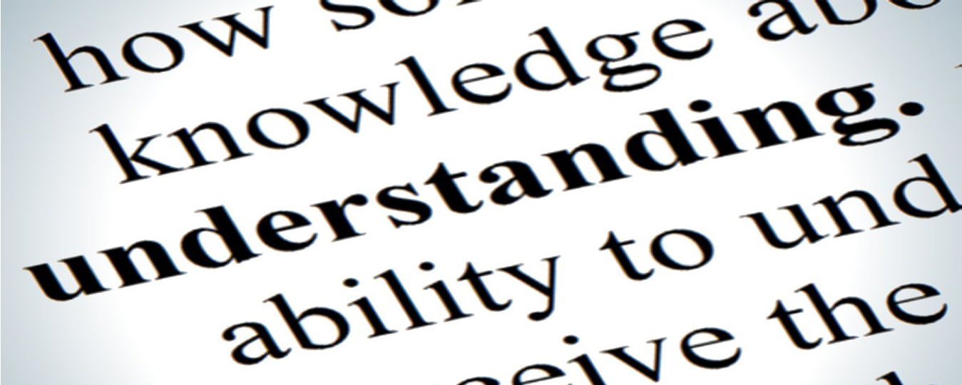 Difference Between Knowledge & Understanding — Curious Halt