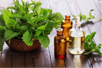 peppermint home remedies for cough and cold