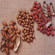 healthy foods - Peanuts