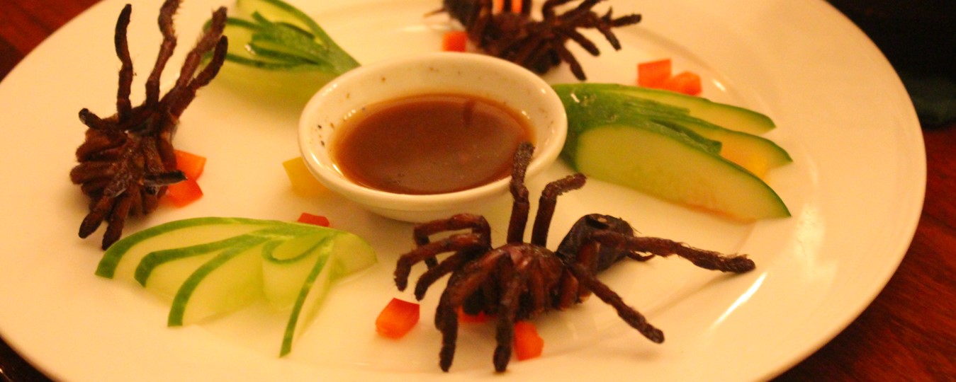 9 Most Bizarre Cuisines Of The World — Curious Halt
