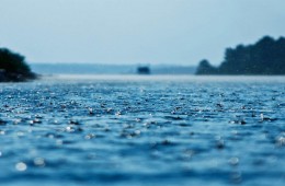 Monsoons Rains