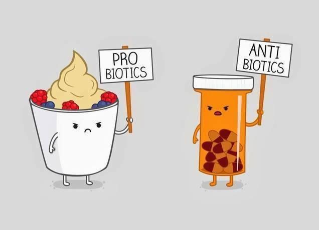 probiotics-vs-antibiotics