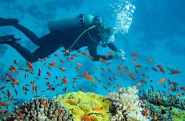Scuba Diving around the world