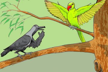 Crows and the Parrots